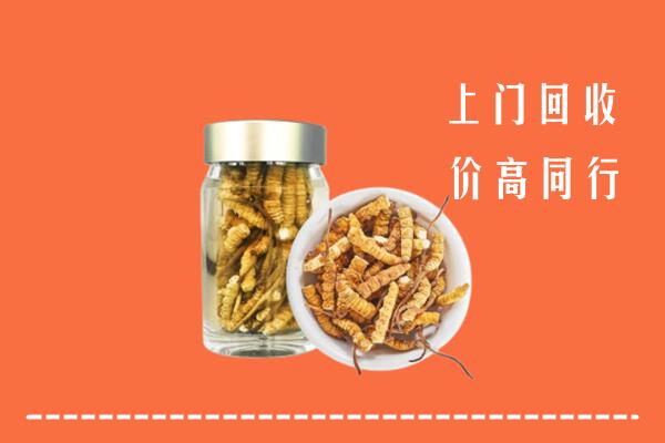 翁源县高价回收冬虫夏草